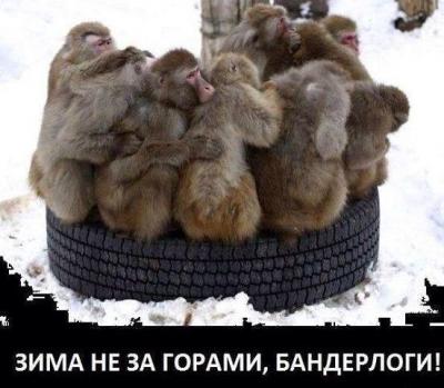 Прикрепленное изображение: 1898257_367033676781780_3498939527231605119_n.jpg